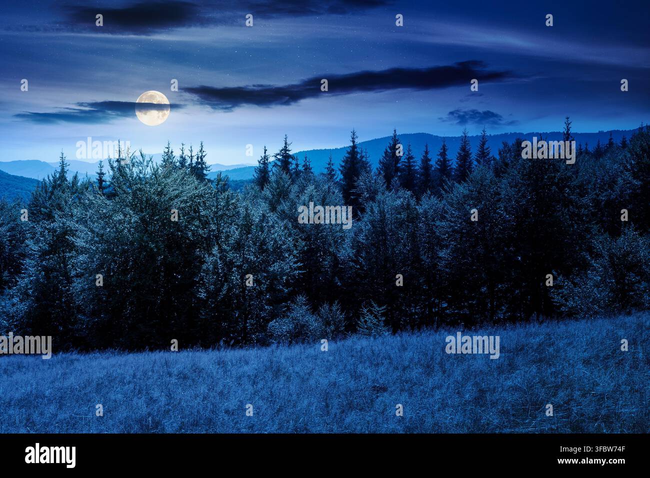 mountain landscape of ukraine at night. full moon over alpine grassy meadow and deciduous forest on the hill. late summer nature background for carpat Stock Photo