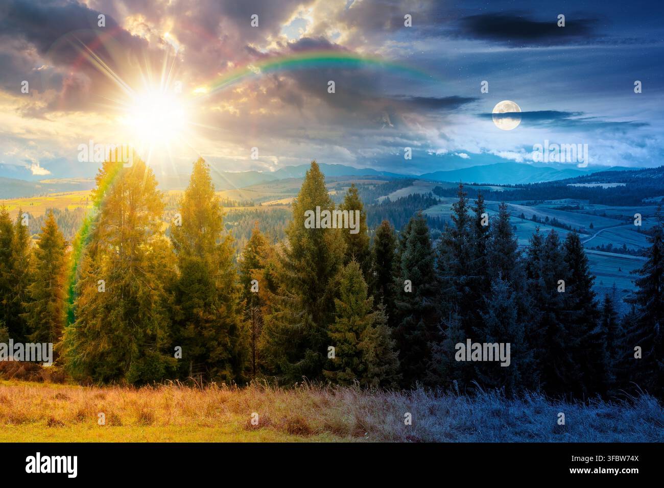 hillside of mountain range with coniferous forest and meadow. day meet night. sun and moon over spruce trees on the green grassy hill. Carpathian coun Stock Photo