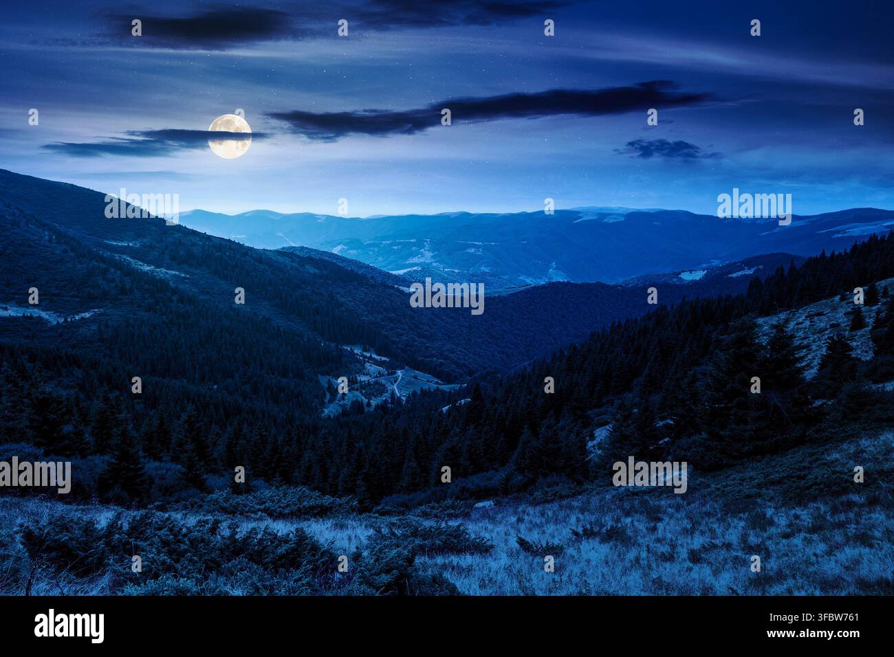 coniferous forest on a mountain slope at night. full moon over Ukrainian Carpathians in summertime. Chornohora ridge. forested dale beneath a dark vau Stock Photo