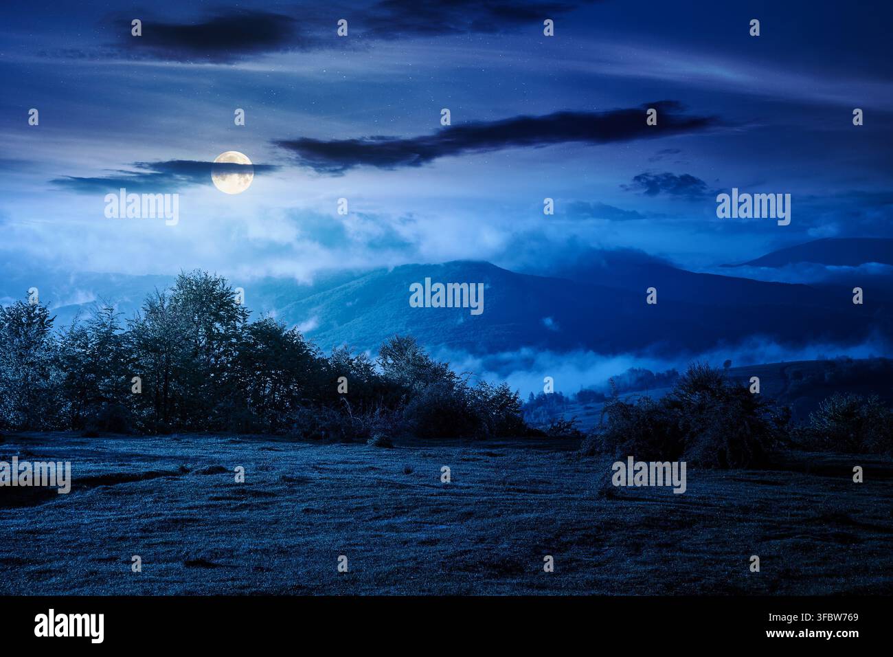 carpathian mountain landscape with fog at night. outdoor adventure image for stunning view of meadow. full moon over mountain field and rolling countr Stock Photo
