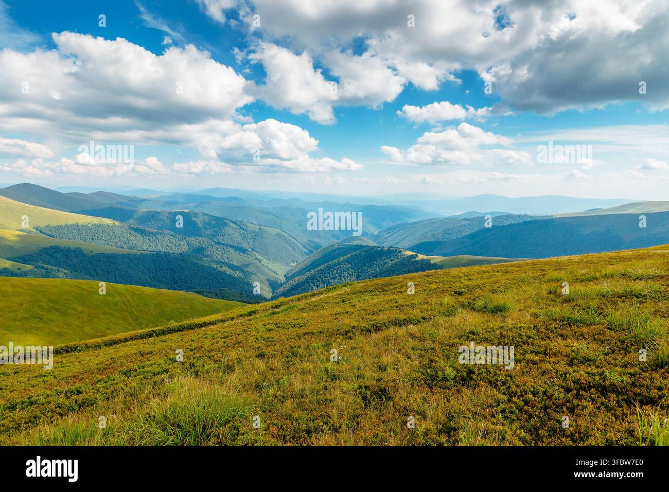 Carpathian mountain landscape in summer. scenic view of Transcarpathia region from Stiy summit. hiking trail through Borzhava range. grassy hill in da Stock Photo