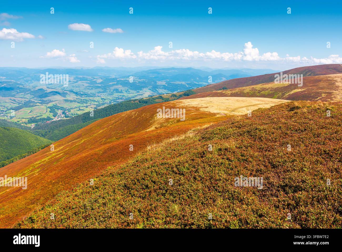 alpine nature of Carpathian mountain range in early autumn. colorful slopes of Ukrainian highland landscape Stock Photo