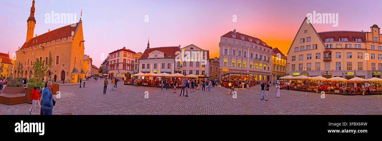 Evening panorama of Raekoja plats, Tallinn Town Hall Square, in Tallinn Old Town, Estonia, at dusk. Stock Photo