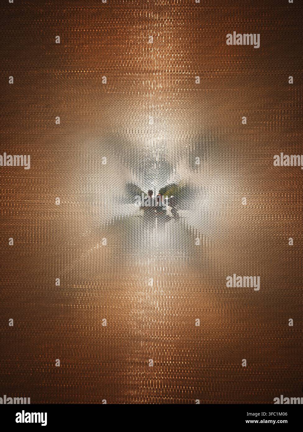 Abstract silhouette reflection on bronze honeycomb texture wall Stock Photo