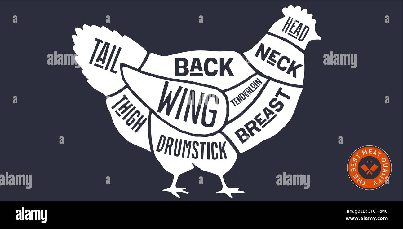 Chicken, Hen, hand-drawn butcher cuts Stock Vector