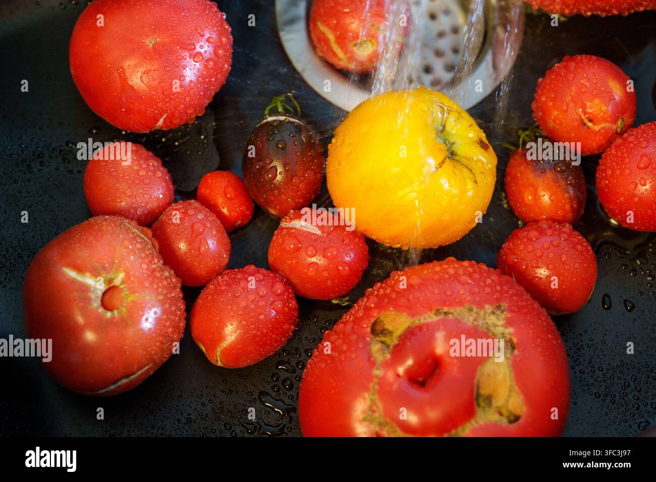 Fresh tomatoes being rinsed under running water in kitchen sink Stock Photo