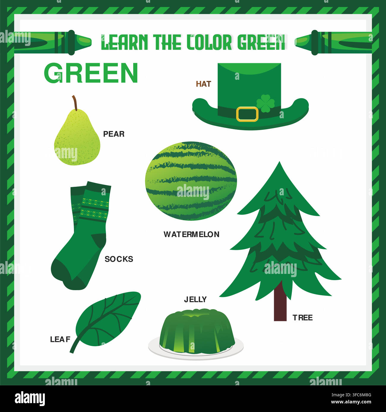 Learn the Color Green Educational Flashcard Vector Template Stock Vector