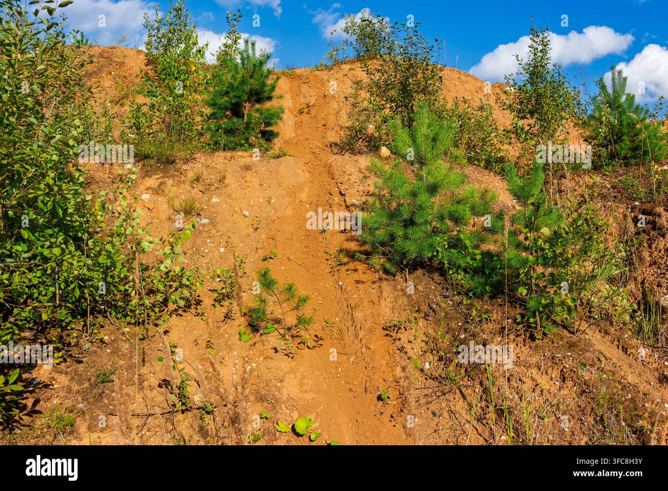Steep sandy trail carved into a hillside by dirt bikes, featuring tire ...