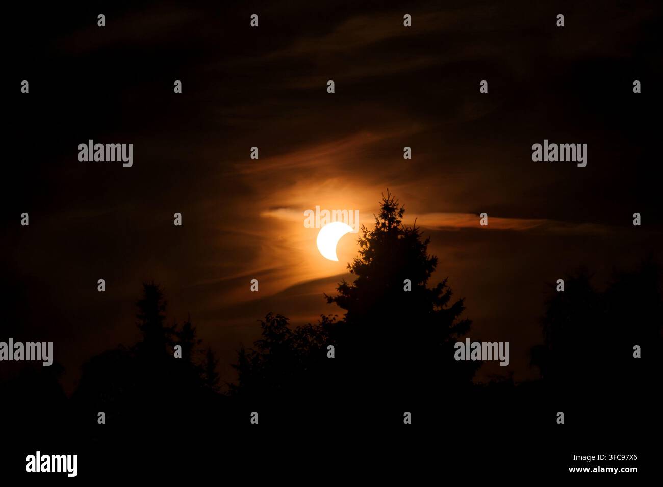 Partial solar eclipse glowing over silhouetted forest trees at dusk with dark negative copy space. Stock Photo