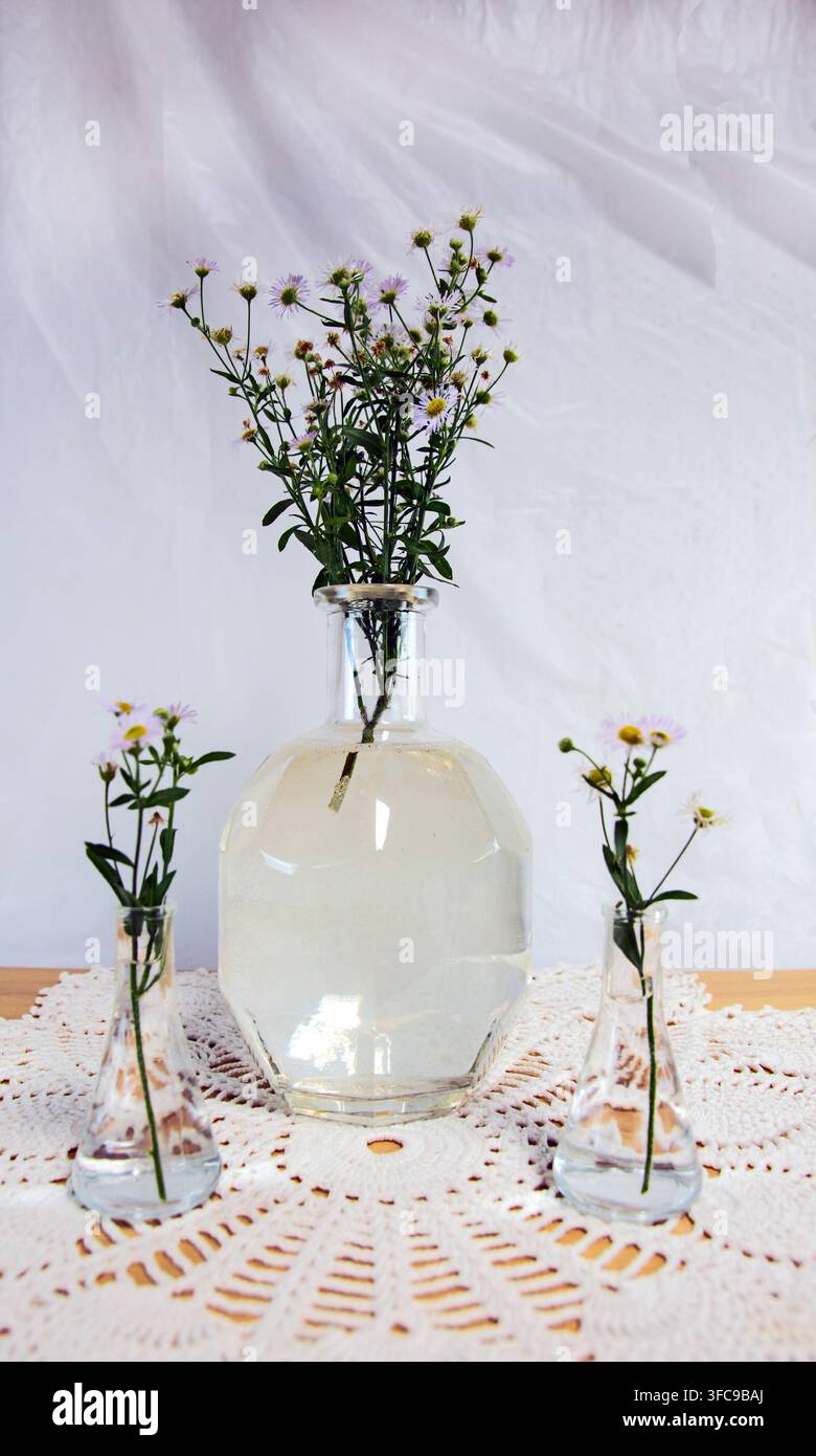 Wild dasies in three vases on white doily and white background. Bokeh. Stock Photo