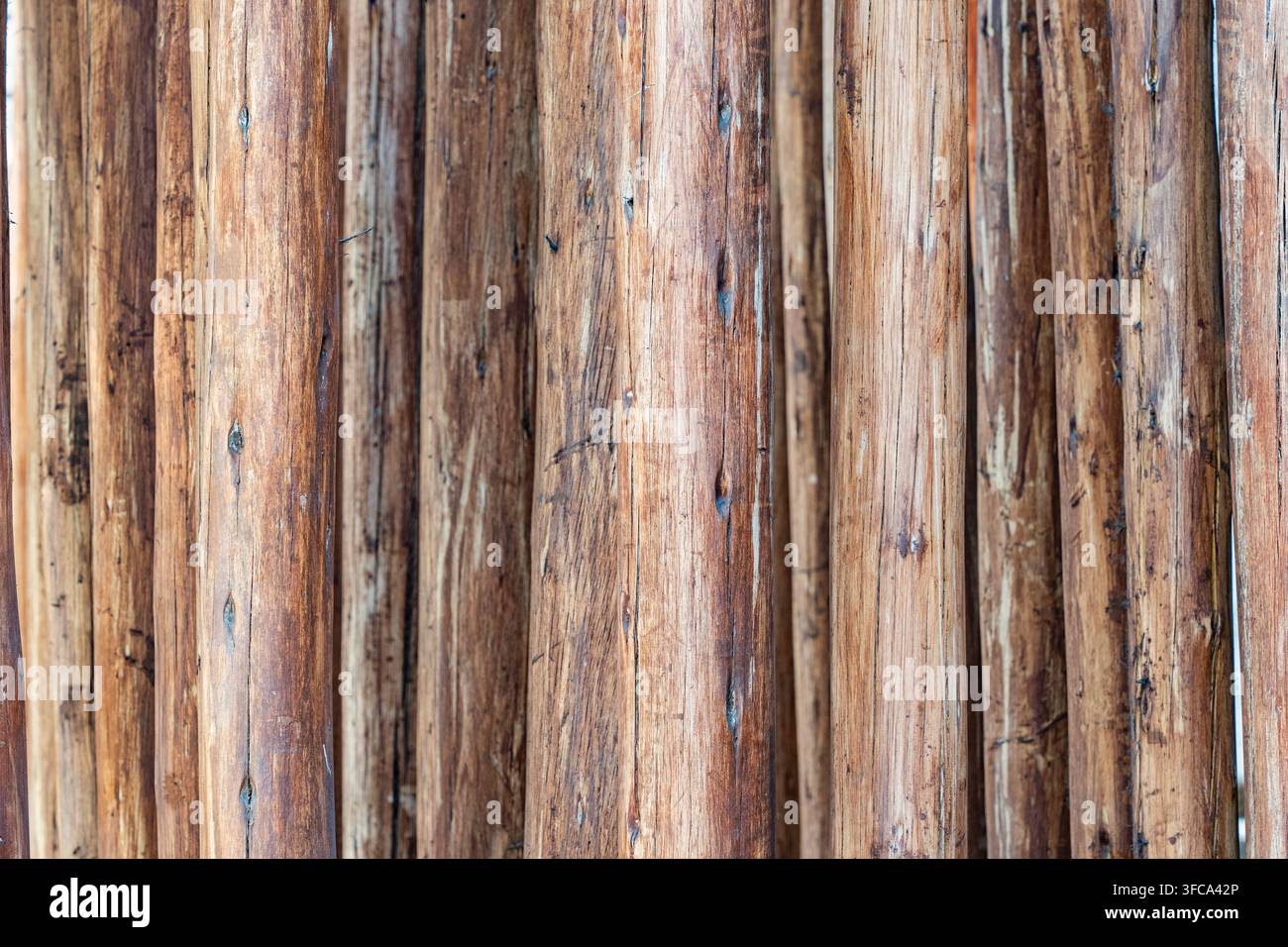 Vertical wooden logs texture background Stock Photo