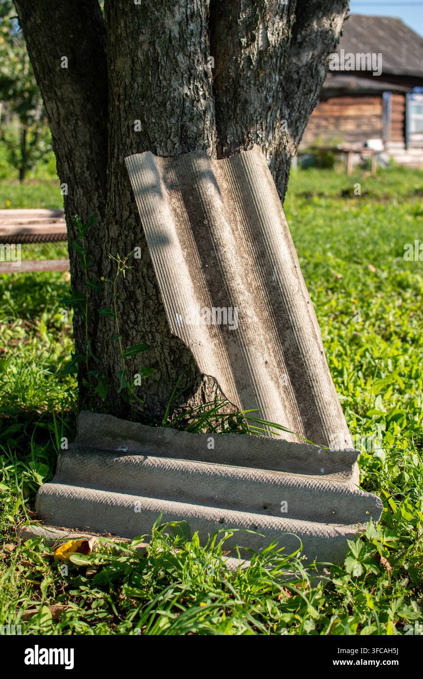 Broken corrugated sheet roofing material leaning against a tree trunk Stock Photo