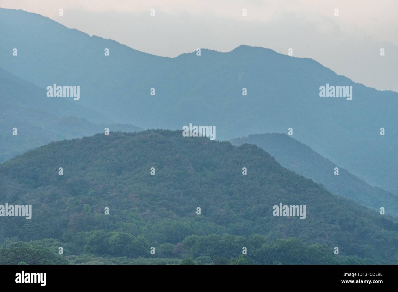 View misty forested hills hi-res stock photography and images - Alamy