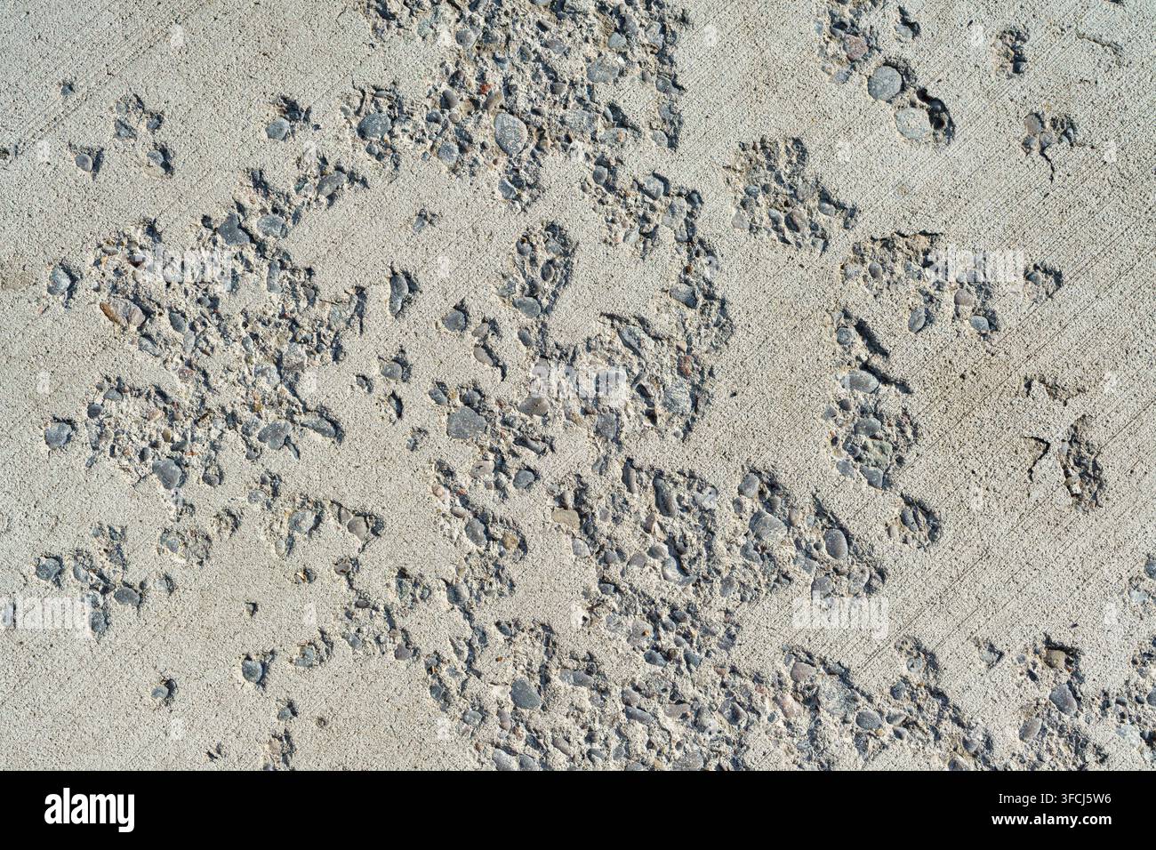 Weathered concrete surface with exposed stone aggregate. Stock Photo
