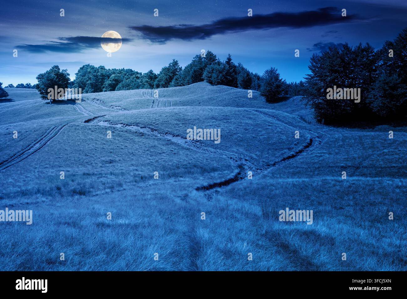 mountainous countryside landscape in late summer at night. full moon over alpine meadow and beech forest on top of a hill. mountain ridge in the dista Stock Photo