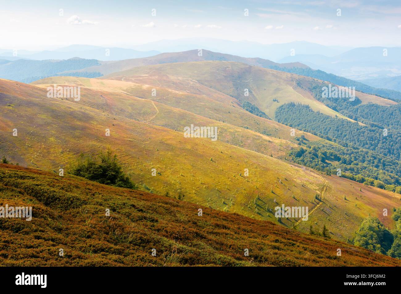 Carpathian mountain landscape in late summer. scenic view of Transcarpathia region from the Great Summit. colorful alpine blueberry field on Polonyna Stock Photo