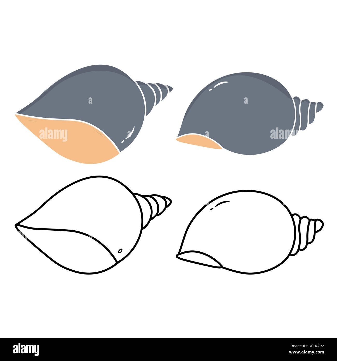 Set of spiral conch seashells in flat colored style and black outline linear art. Isolated on a white background Stock Vector
