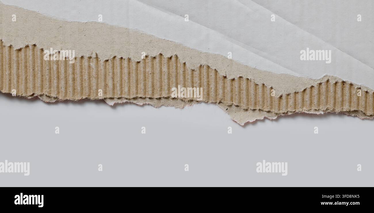 Torn cardboard revealing brown corrugated texture on a white background Stock Photo