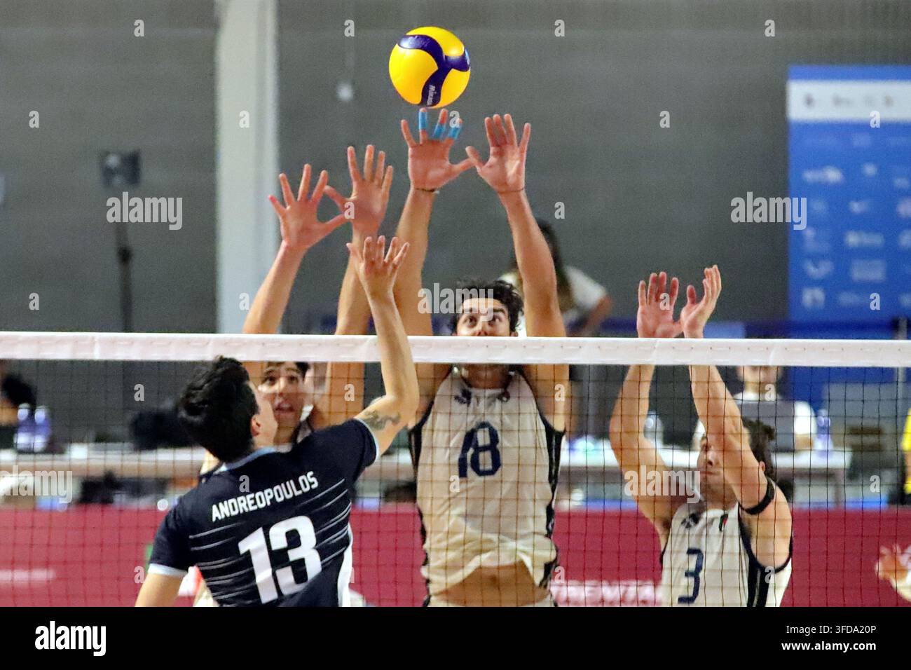 IPA87915727 - Volleyball, Greece, Charalampos Andreopoulos on offense ...