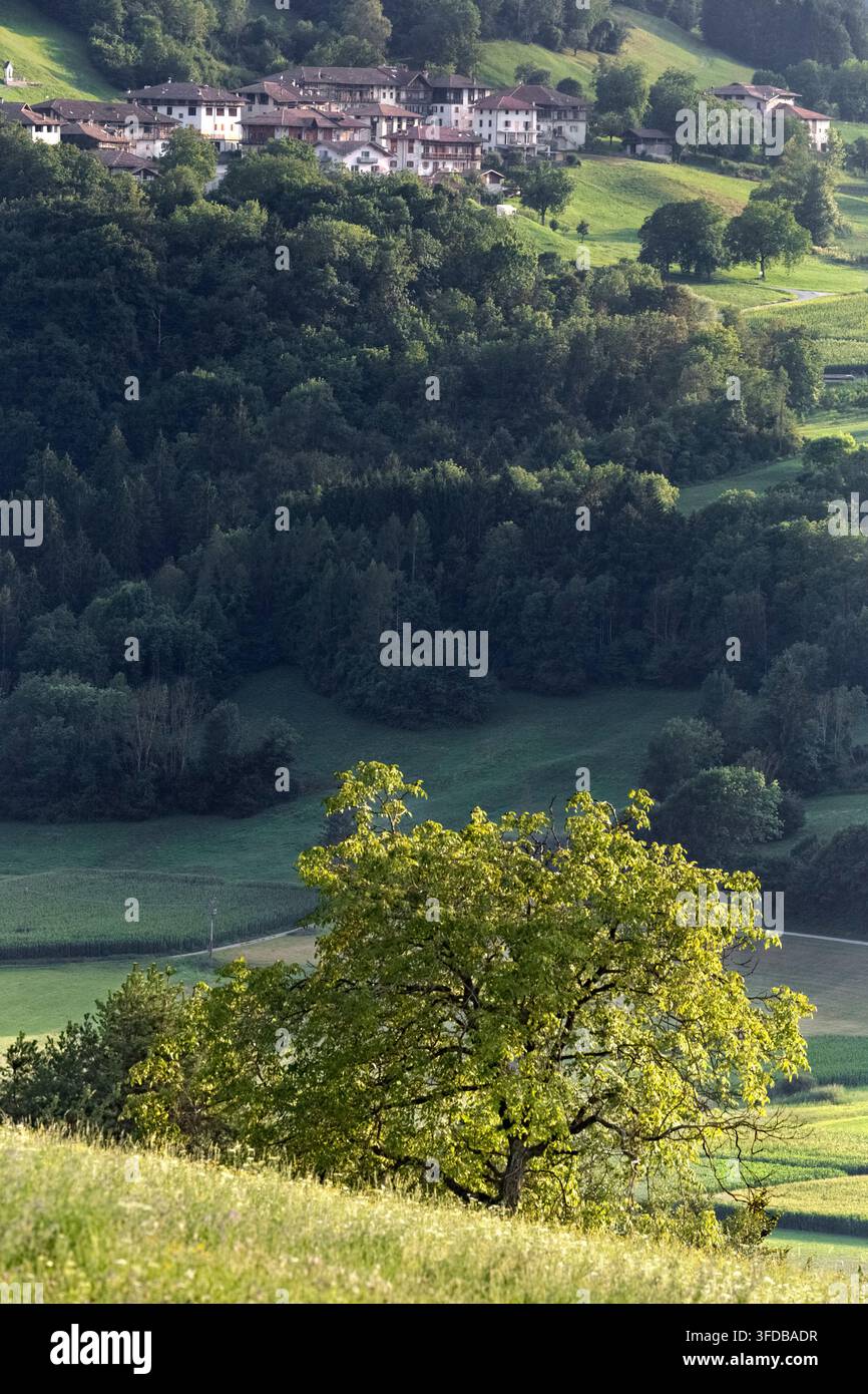 The village of Favrio and the Lomaso woods below. Fiavé, Giudicarie, Trentino, Italy. Stock Photo