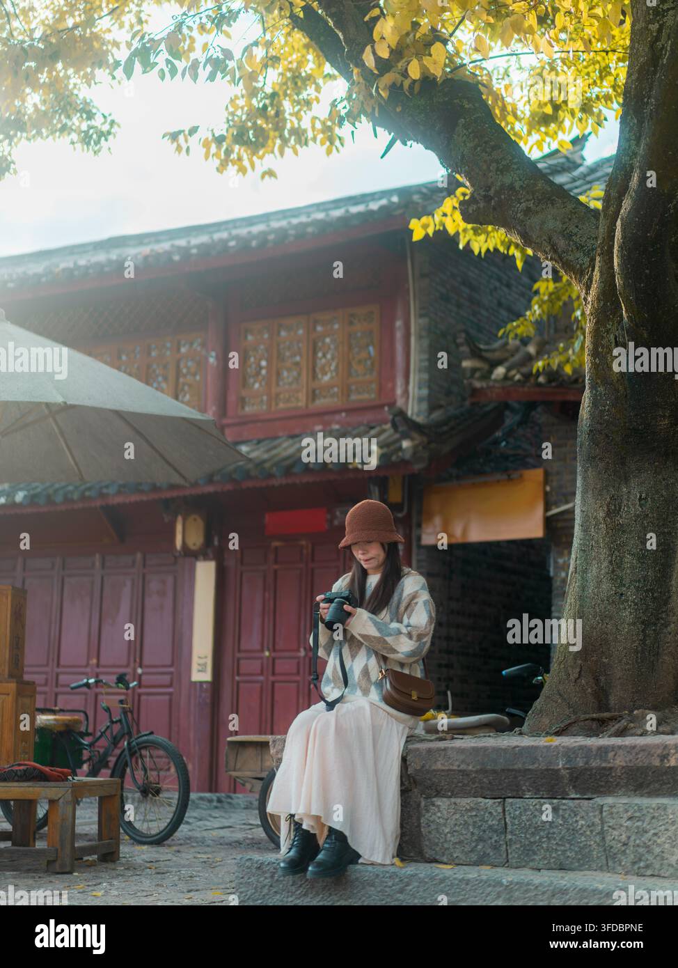 Woman reviewing camera photos under golden ginkgo tree, Lijiang Old Town, Yunnan, China Stock Photo