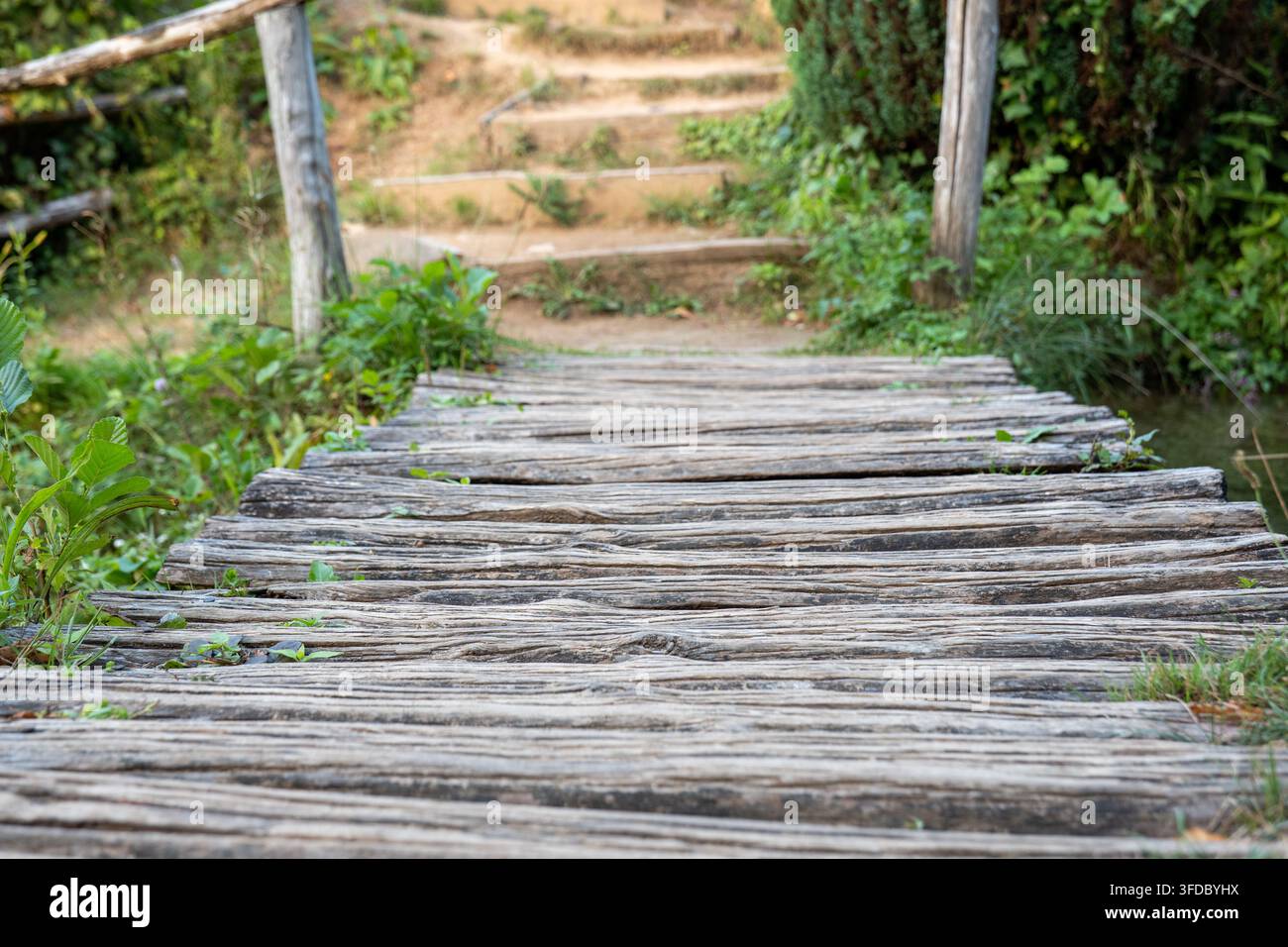 A rustic wooden walkway ascends through dense green vegetation toward a dirt path. Stock Photo