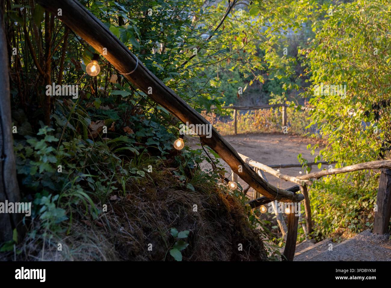 A rustic wooden stairway and railing wind through dense green foliage with small glowing lights in warm sunlight. Stock Photo