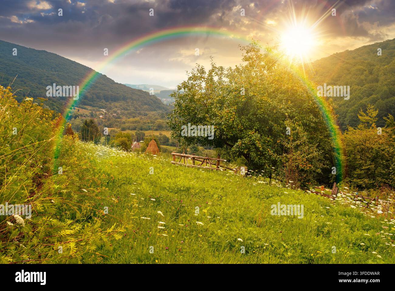 sunset over rural mountain landscape of ukraine. countryside scenery of transcarpathia in summer. forested hills and grassy meadows under cloudy sky Stock Photo