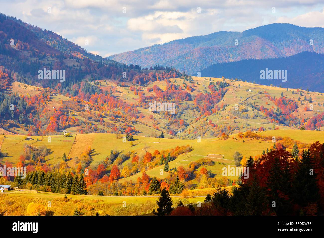 countryside mountain landscape of Ukraine in autumn. rural valley with rolling hills on a sunny day in fall colors. Mizhhirya district Stock Photo