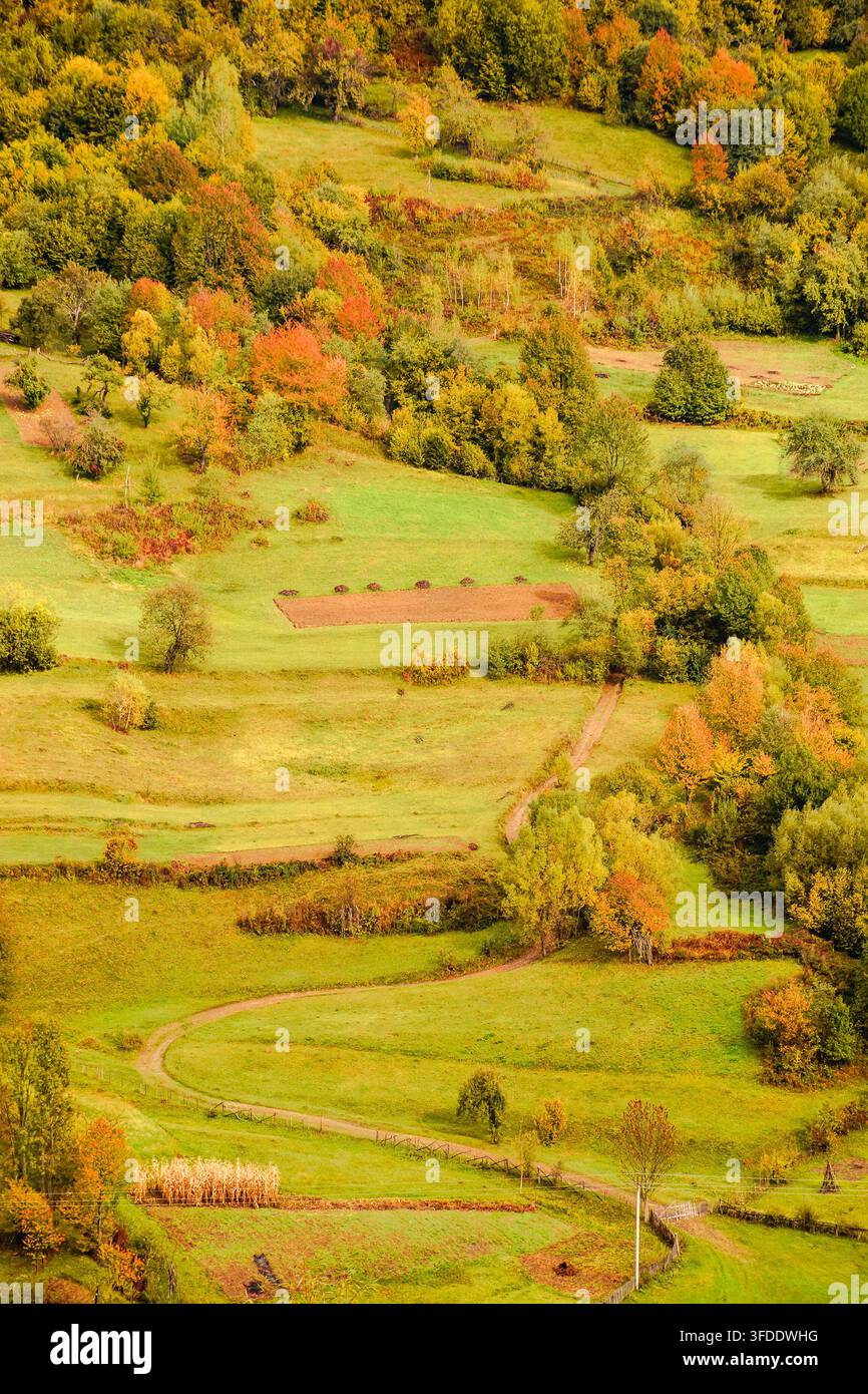 countryside mountain scene. autumnal nature texture of a deciduous forest on a steep hillside. rural area of Uzhanian park of Transcarpathia, Ukraine Stock Photo