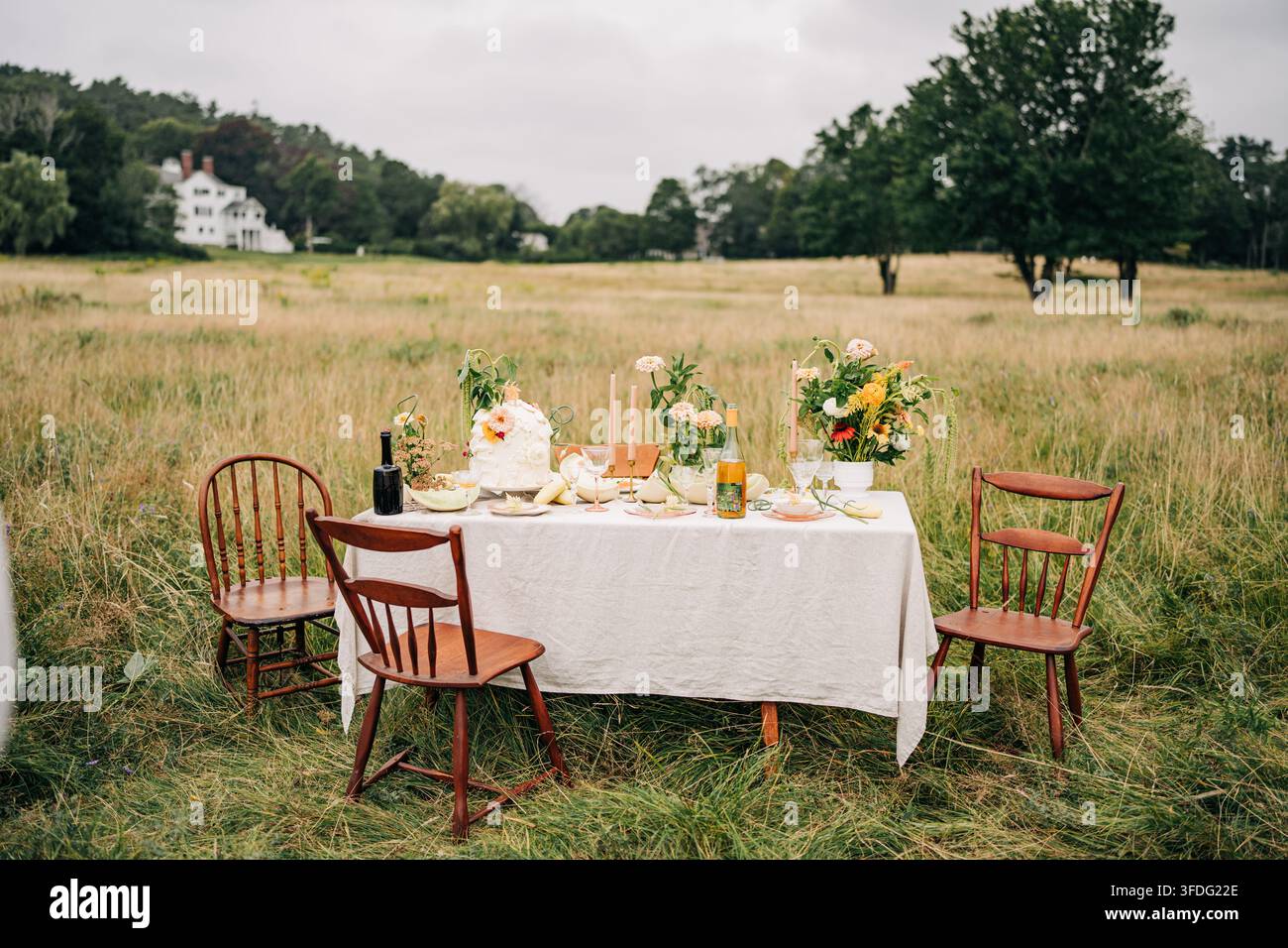 Rustic wedding reception table set in a grassy field Stock Photo
