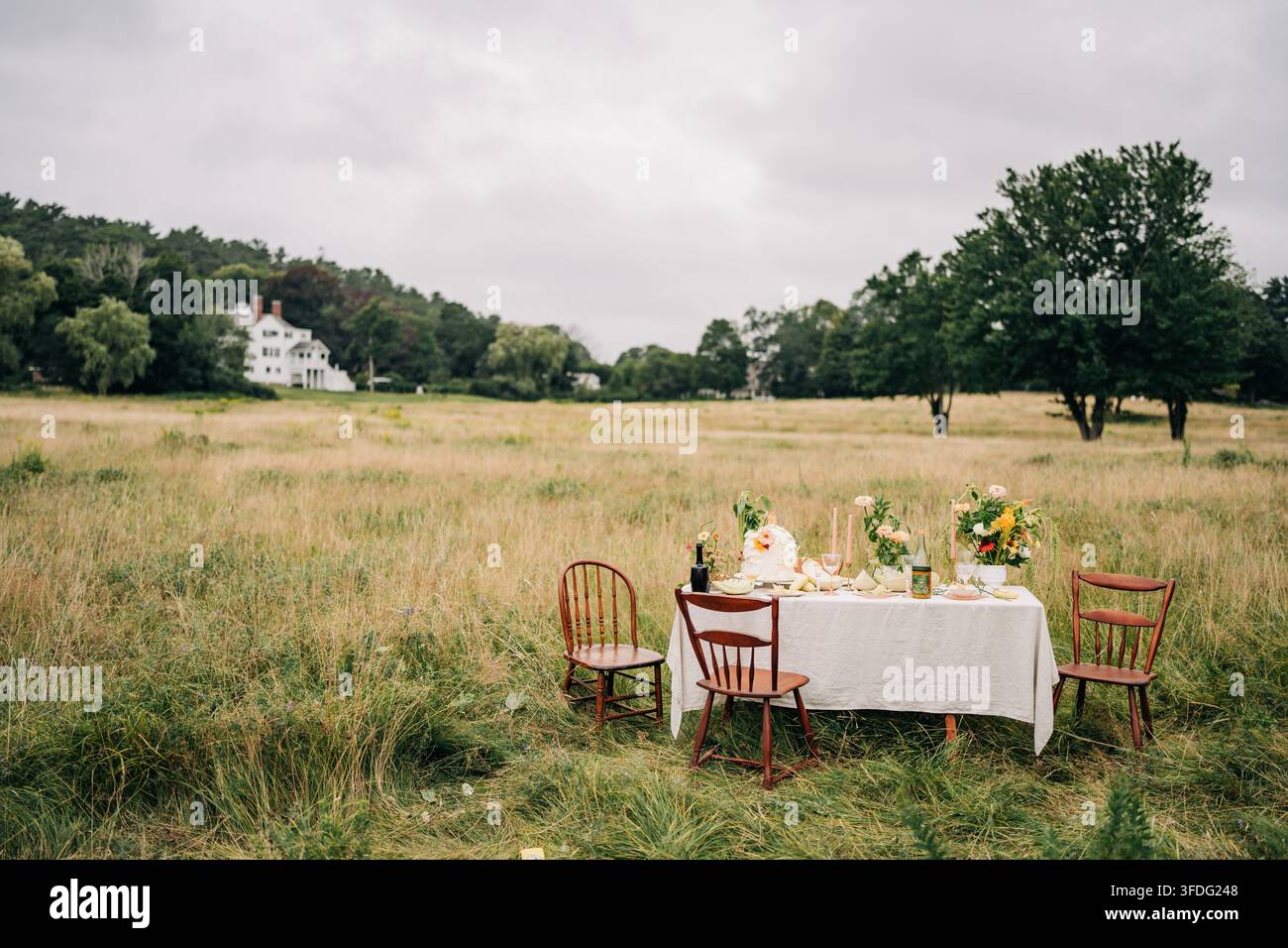 Romantic outdoor dining table set in a meadow Stock Photo