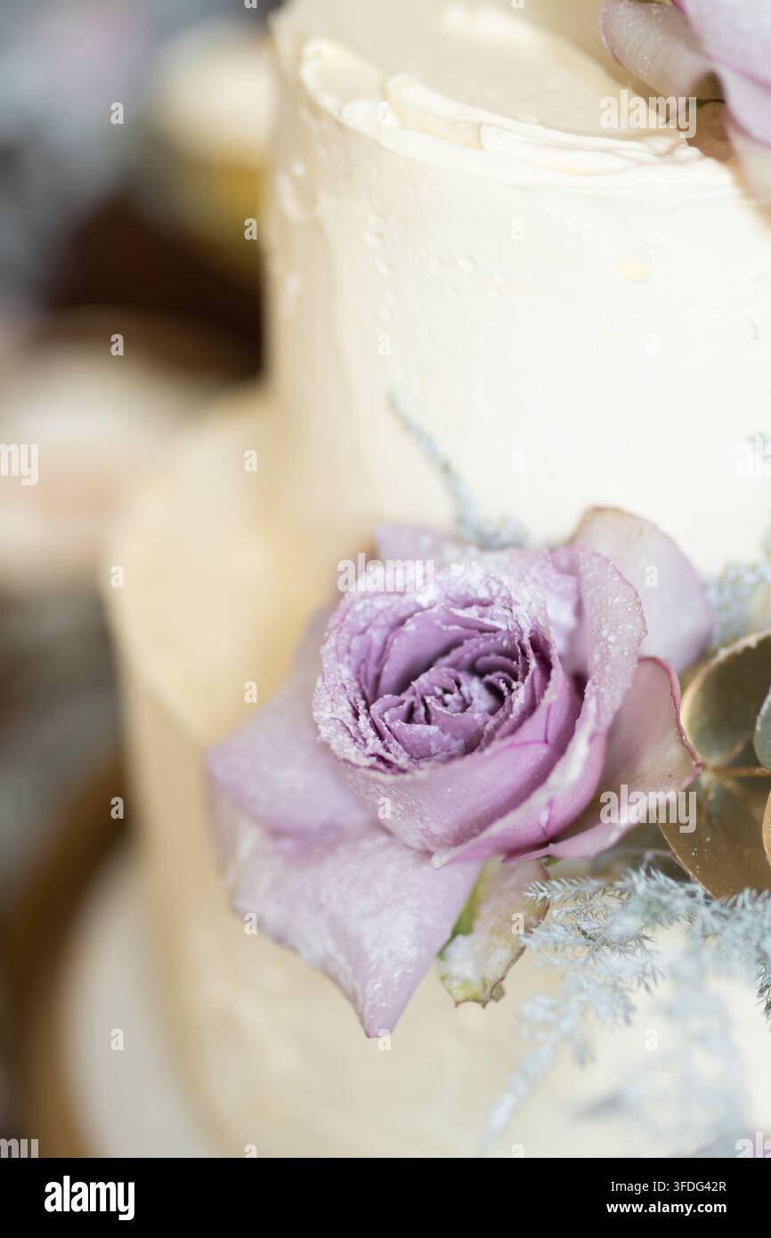 Frosted wedding cake with a sugared purple rose Stock Photo