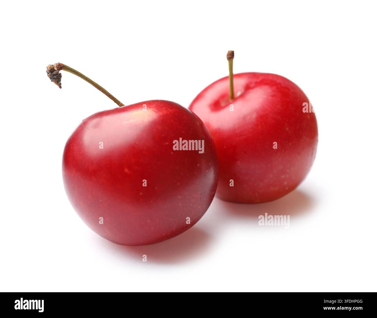 Two ripe cherry plums isolated on white Stock Photo