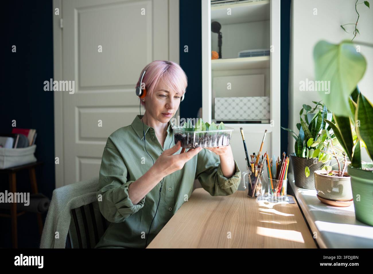 Pink haired woman inspects zamioculcas cuttings while listening through headphones at home. Stock Photo