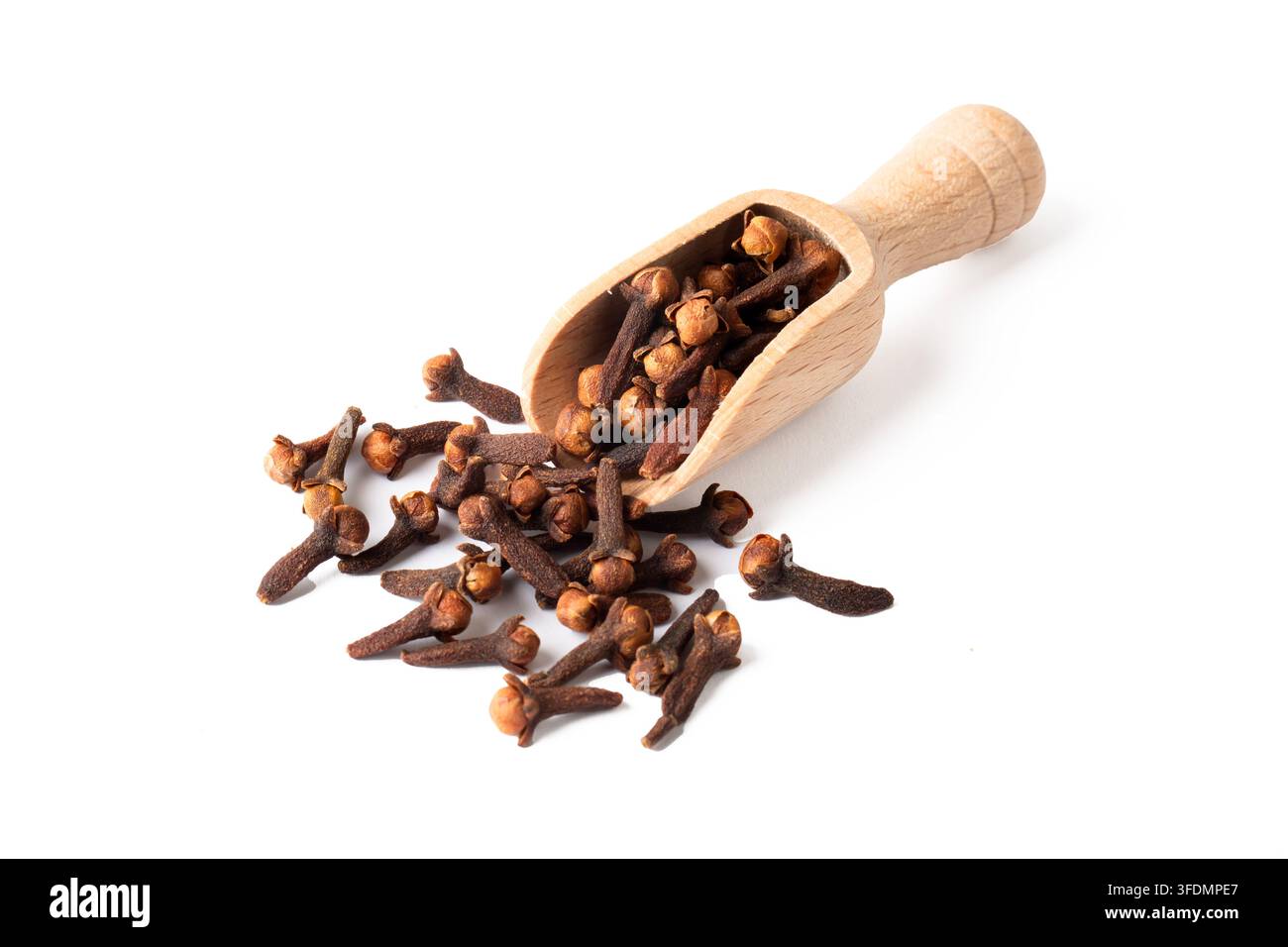 Dried cloves on the white background Stock Photo