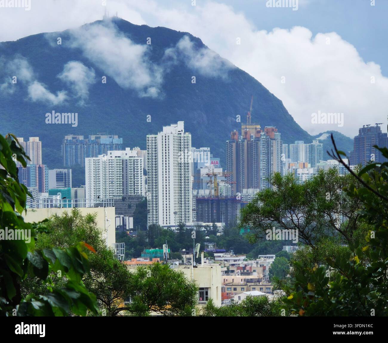City views from the top of Mission Hill in Kowloon, Hong Kong. - Smartphone Captured Stock Image