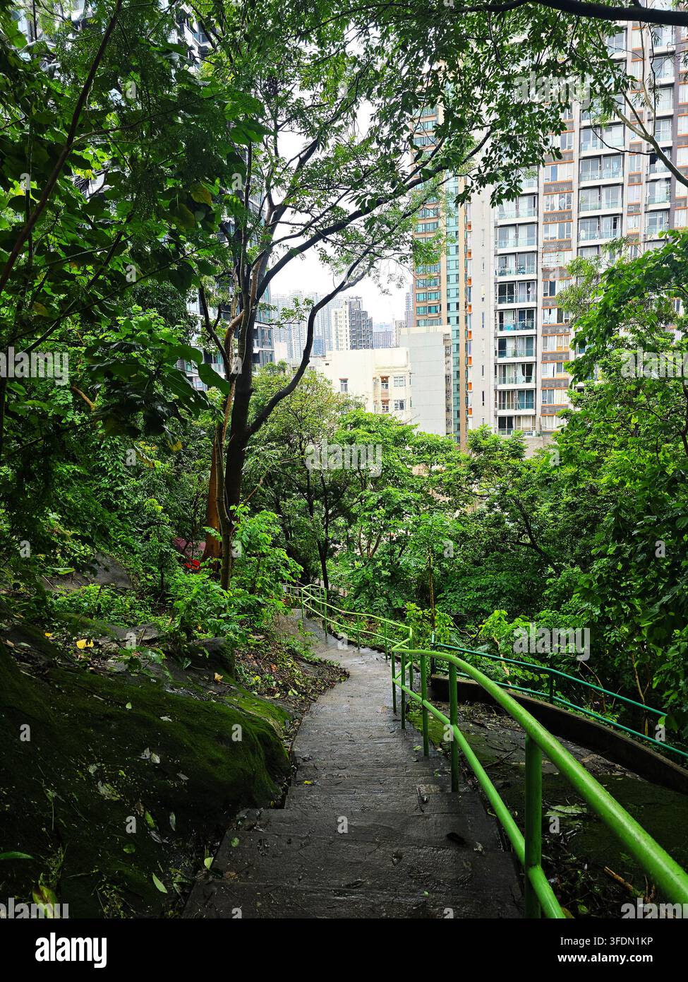 Hiking up Mission Hill in Kowloon, Hong Kong. - Smartphone Captured Stock Image
