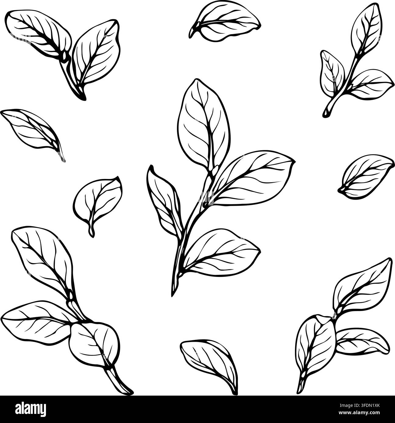 Hand drawn blueberry leaves and branches vector illustration set ...