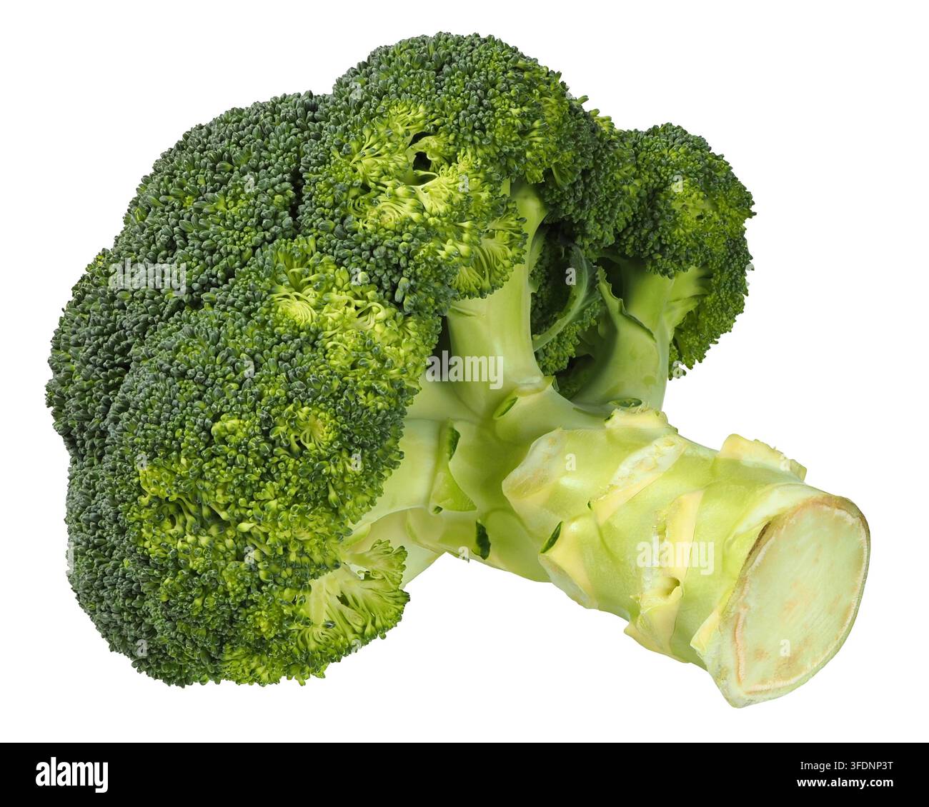 Fresh, green broccoli isolated on white background Stock Photo