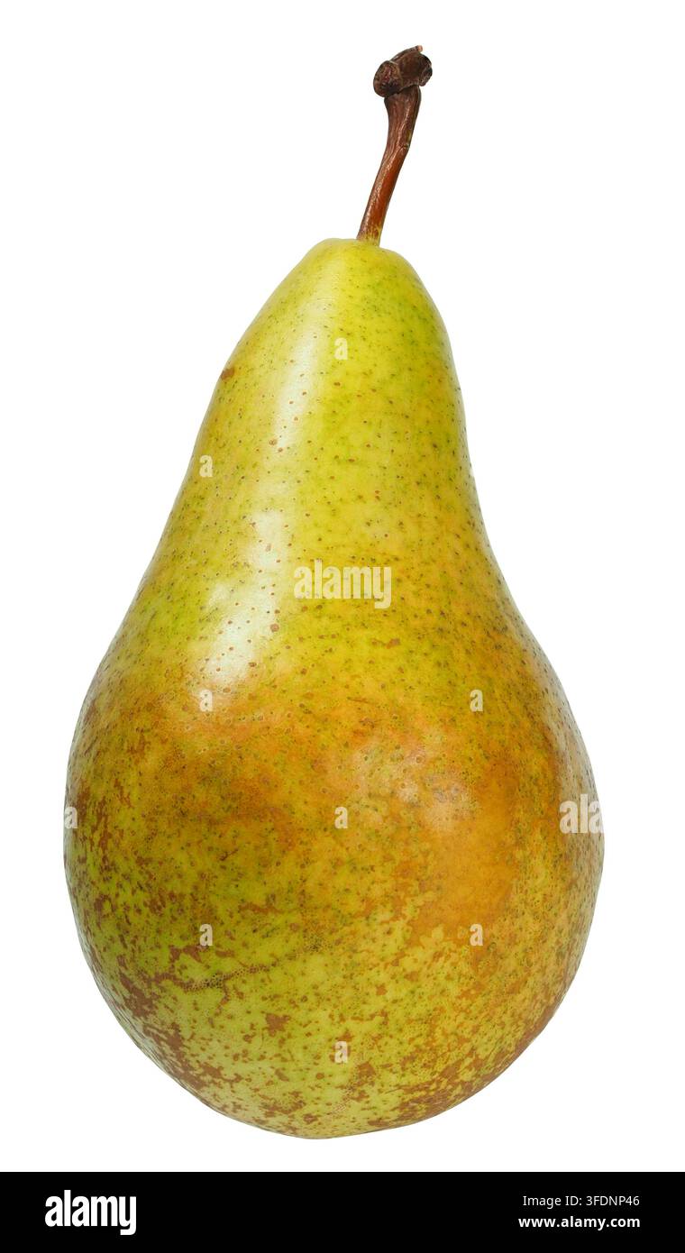 Single pear isolated on white background Stock Photo