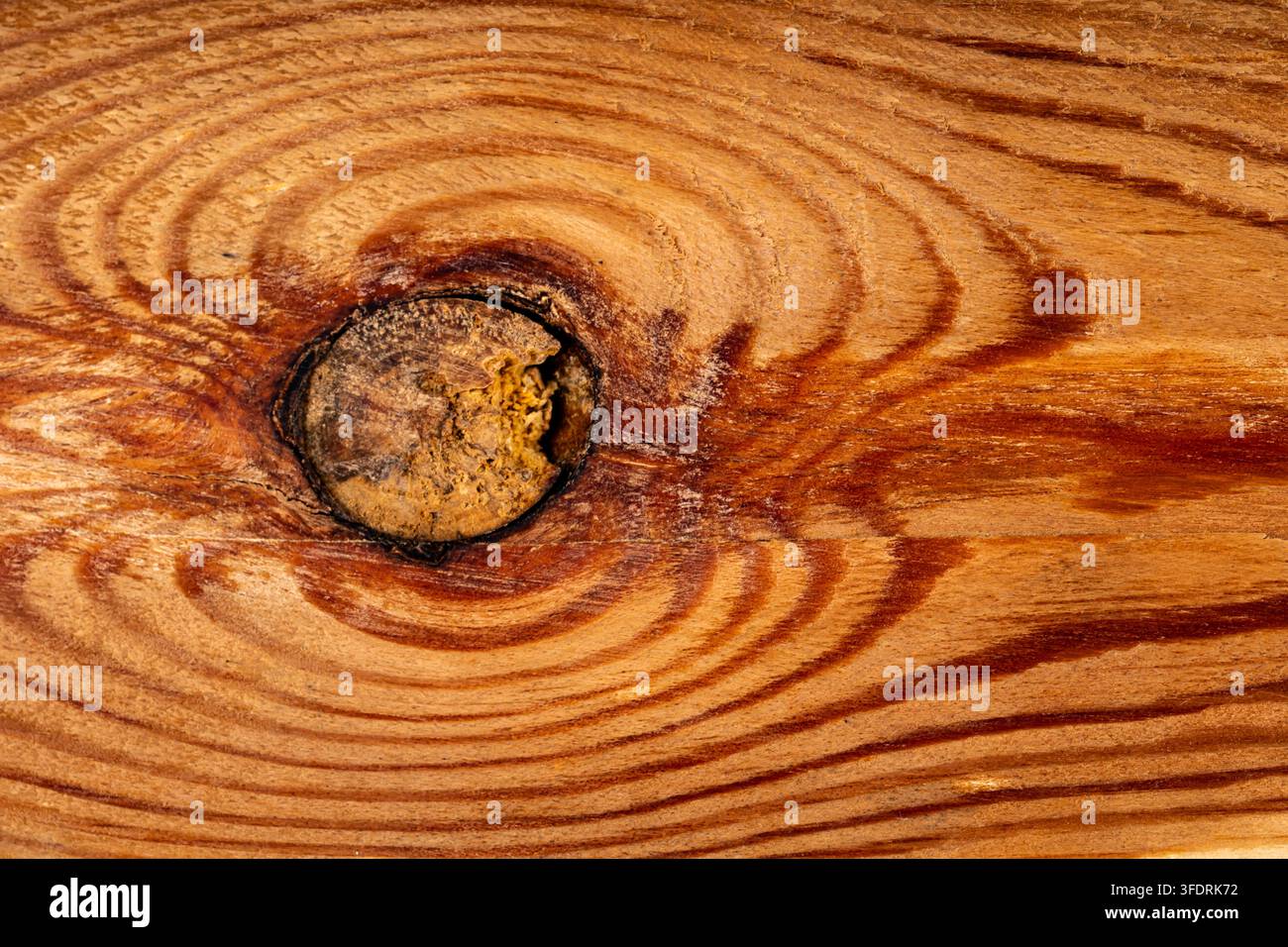 Brown uniform background with a warm texture of knotty construction material close-up view. Stock Photo