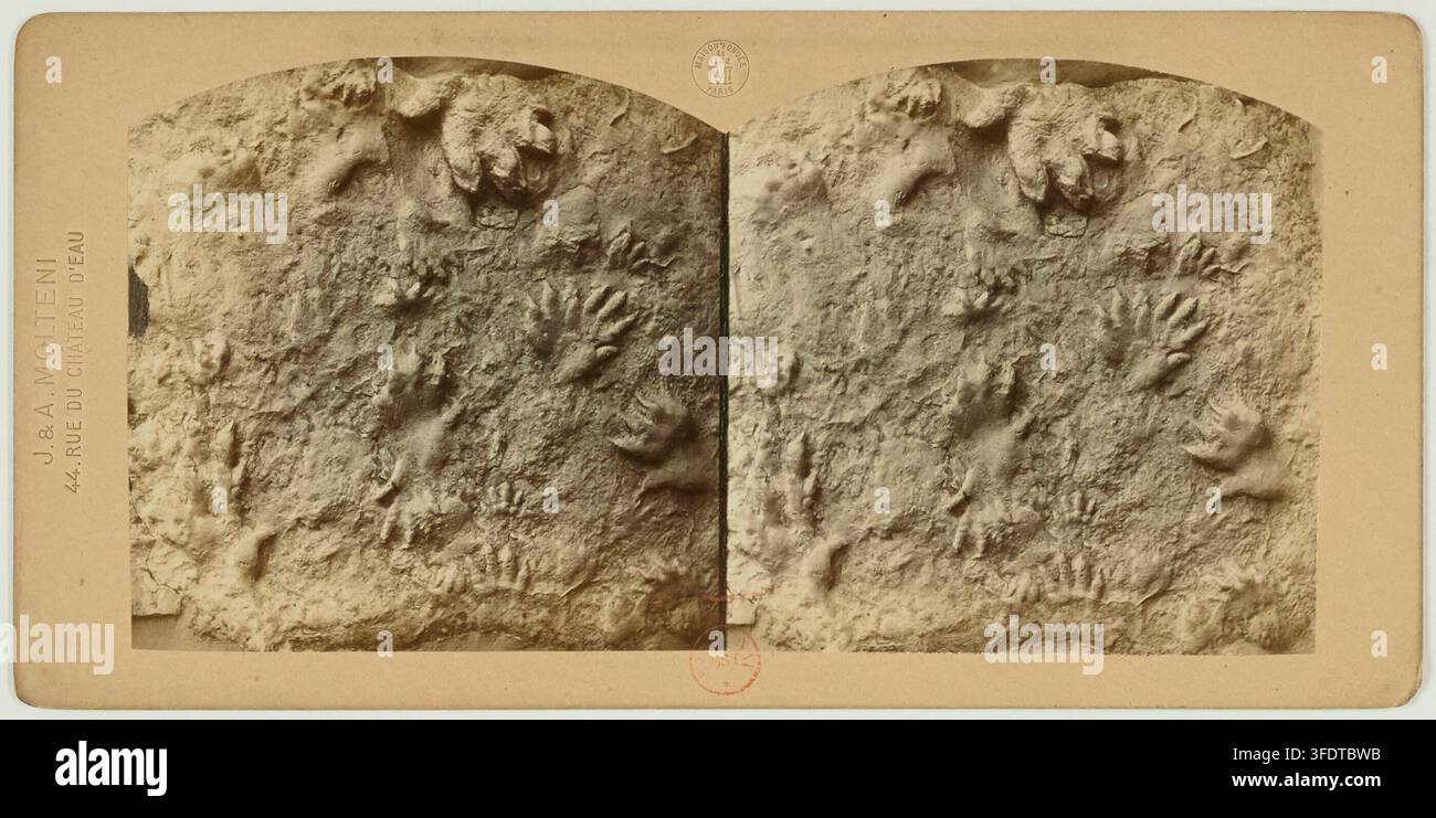 A stereoscopic photograph by J. & A. Molteni, French photographers ...