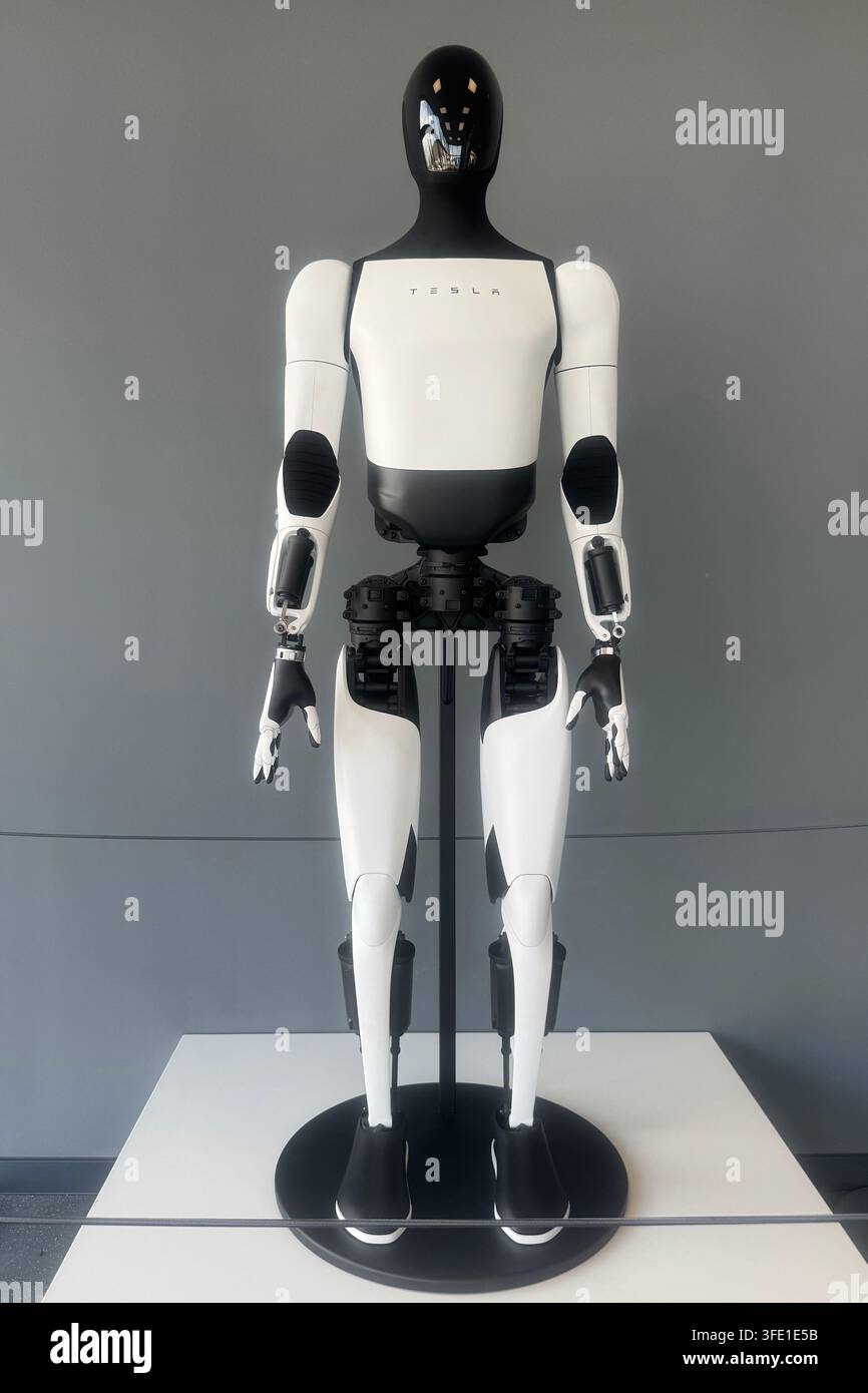 tesla-optimus-humanoid-robot-in-a-modern-exhibition-environment-sven