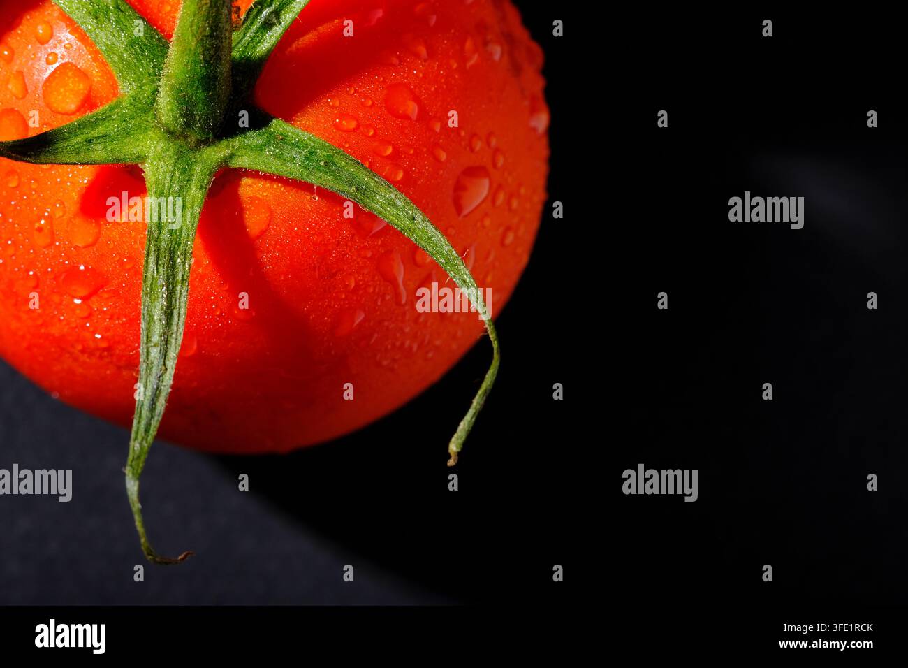 bright red tomato on black background Stock Photo