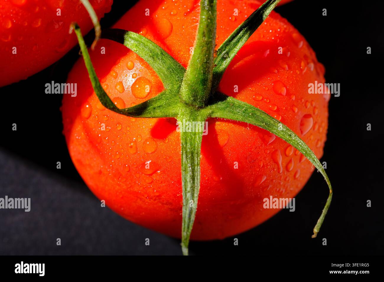 bright red tomato on black background Stock Photo
