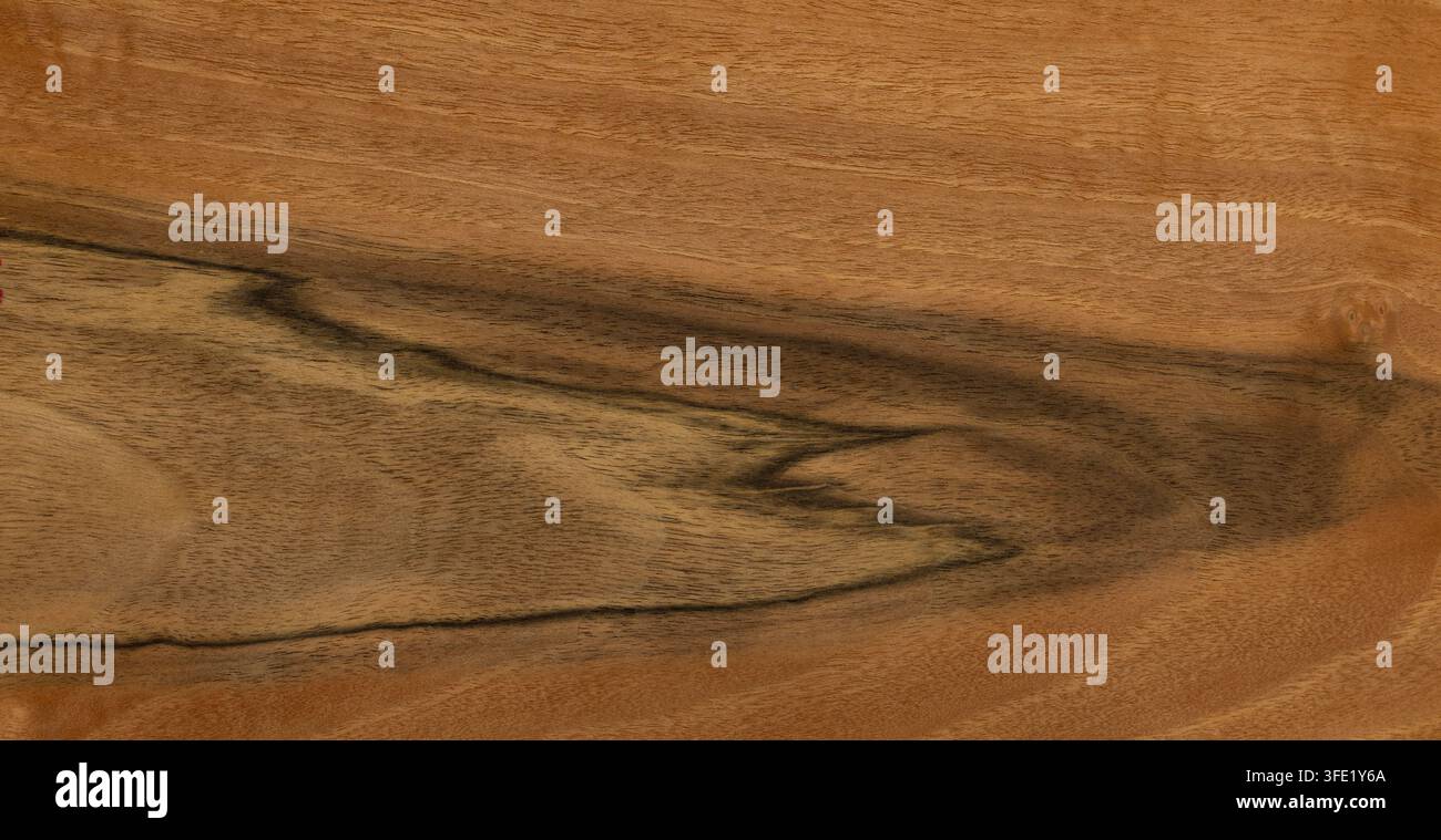 Walnut wood texture as a background Stock Photo