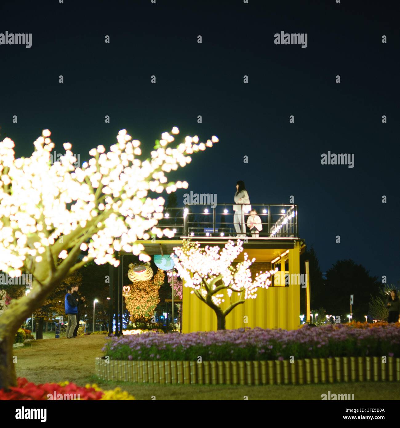 Blossom festival atmosphere hi-res stock photography and images - Alamy
