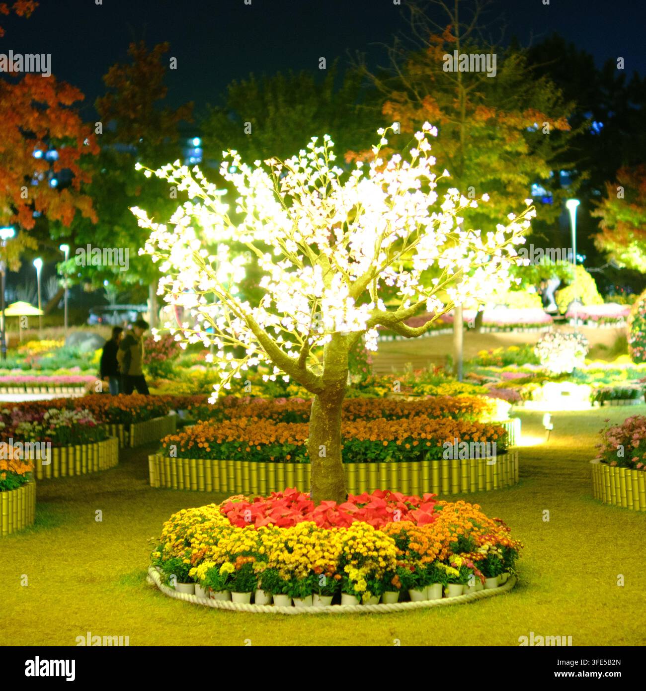 Brightly lit artificial tree surrounded by colorful flowers at night during a festival in Daejeon, Korea. Stock Photo
