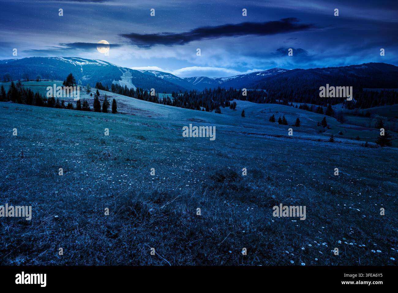 panoramic view of countryside of Ukraine at night. full moon over wonderful springtime landscape in Carpathian mountains. grassy field and rolling hil Stock Photo